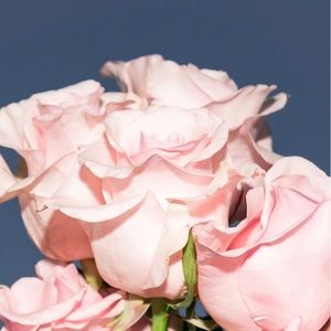 Meet your Posher, Aangela